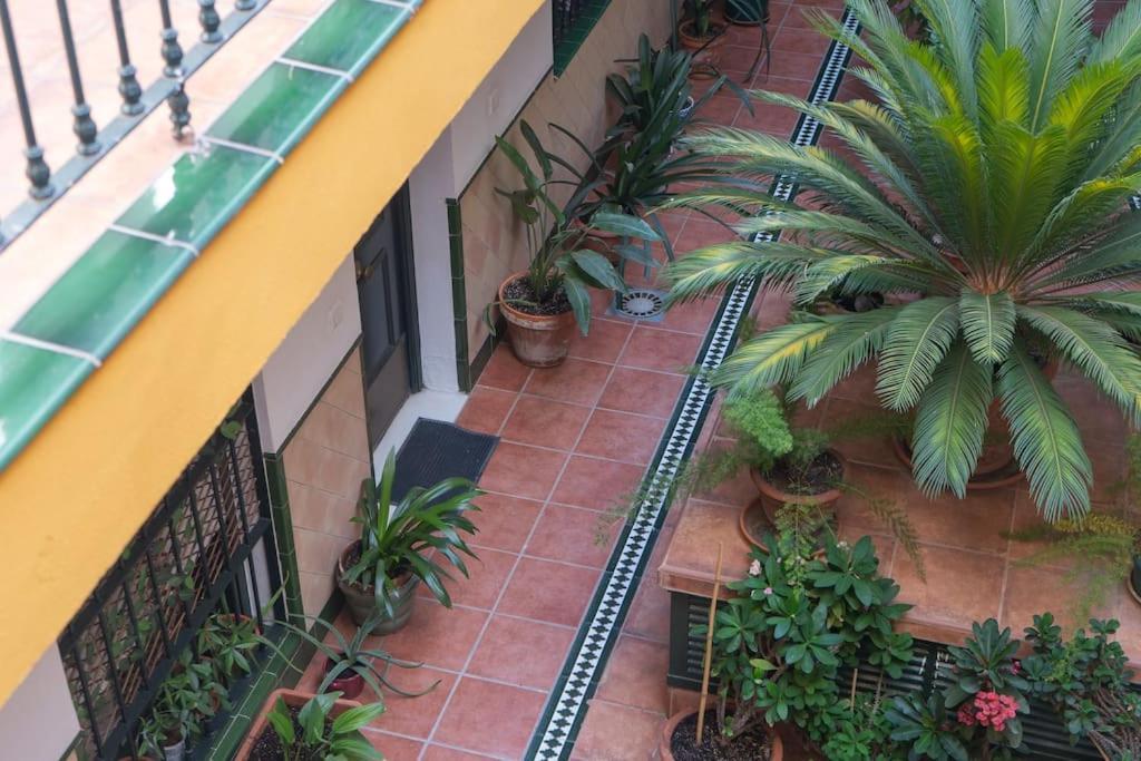 Apartamento Junto A Las Setas De Sevilla Ngoại thất bức ảnh